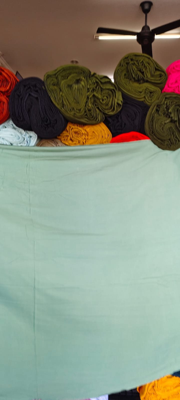 Hijau Telur Asin Tua